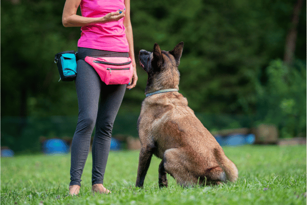 treino