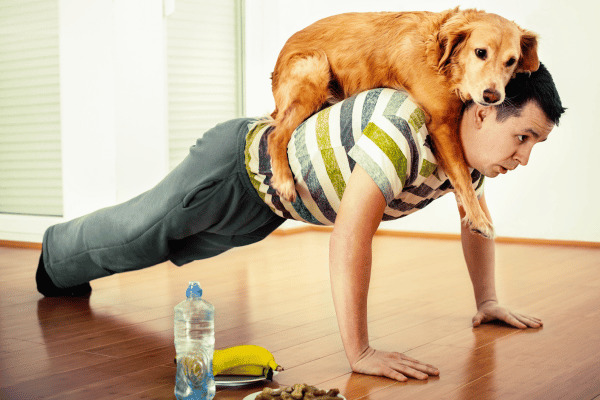 Exercise Routine for Pets