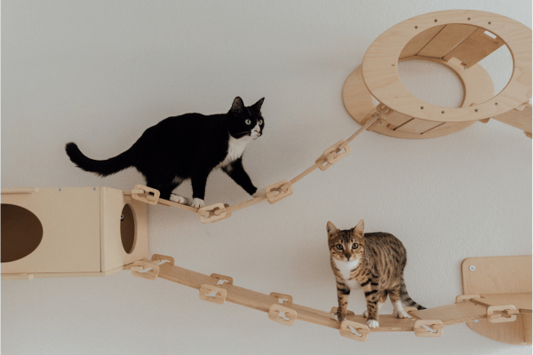 interactive-puzzle-toys-cats