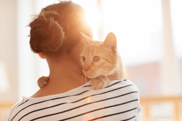 cat-behavior-understanding