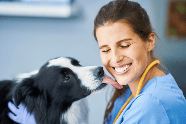 dog-lick-mats-benefits