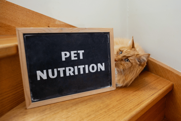 optimal-pet-nutrition-guide
